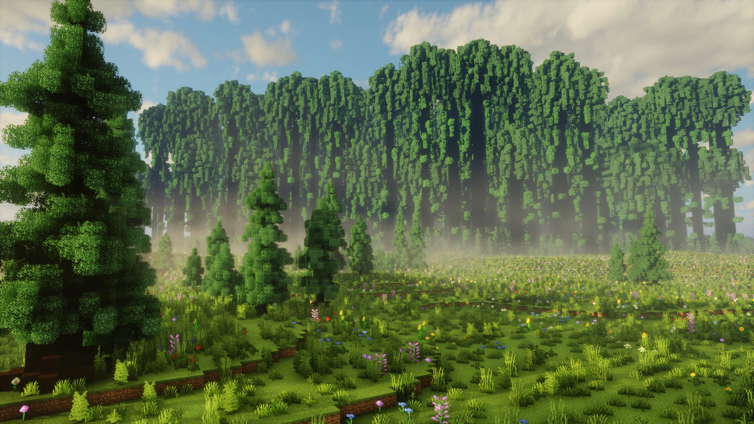 The forest of giant trees